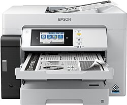 Epson C11CJ41407 EcoTank M15180 Wi-Fi + Fotokopi + Tarayıcı A3/A4 Siyah Beyaz Mürekkep Tanklı Yazıcı